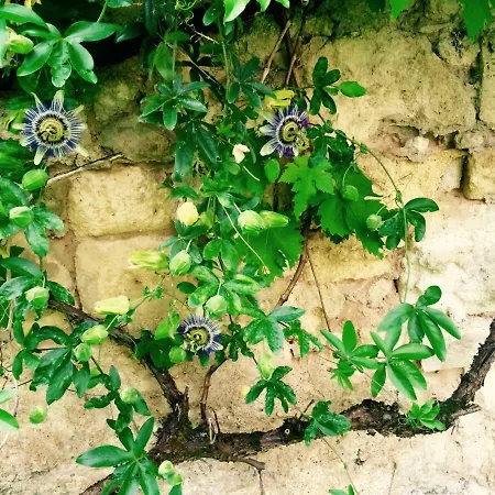Charming Flat St Emilion Διαμέρισμα